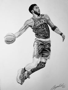 Jayson Tatum Drawing Prints